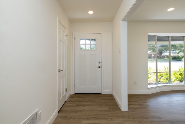 entrance foyer with dark wood-type flooring and a healthy amount of sunlight