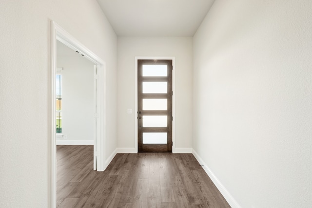 foyer entrance with wood-type flooring