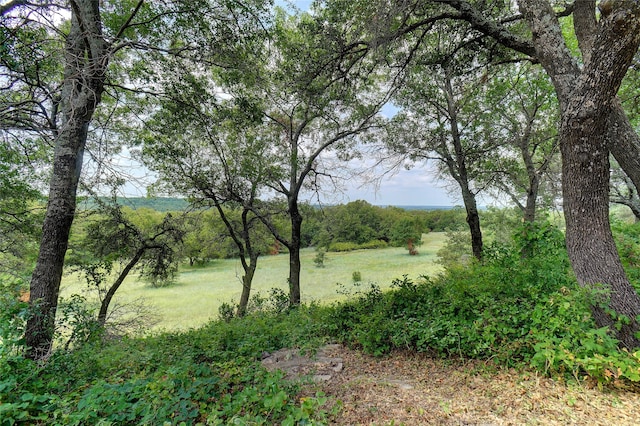 view of local wilderness