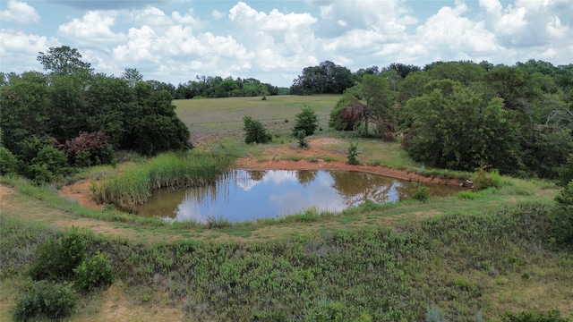 view of water feature