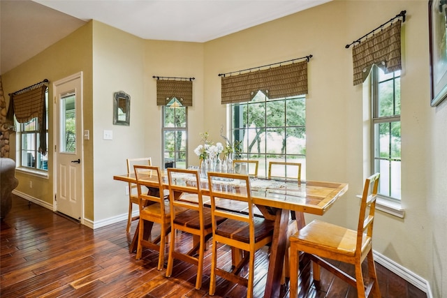 dining area featuring dark hardwood / wood-style flooring and plenty of natural light