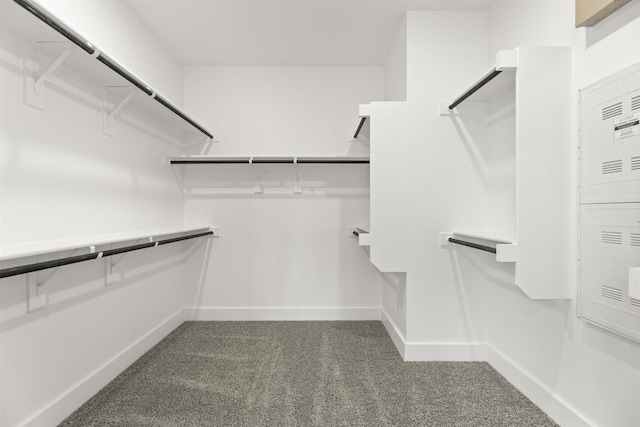 3104 Summer Rain Ln, Anna, TX 75409 - spacious closet featuring carpet flooring