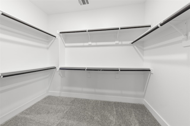 walk in closet featuring carpet flooring