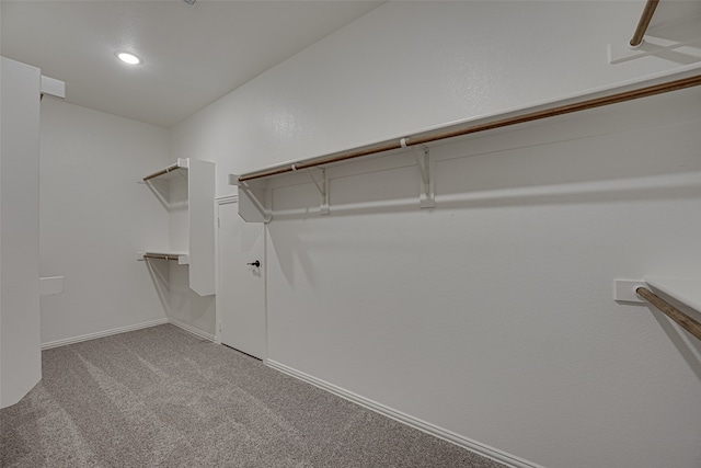 walk in closet featuring carpet floors