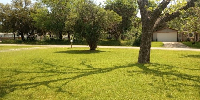 view of home's community with a yard