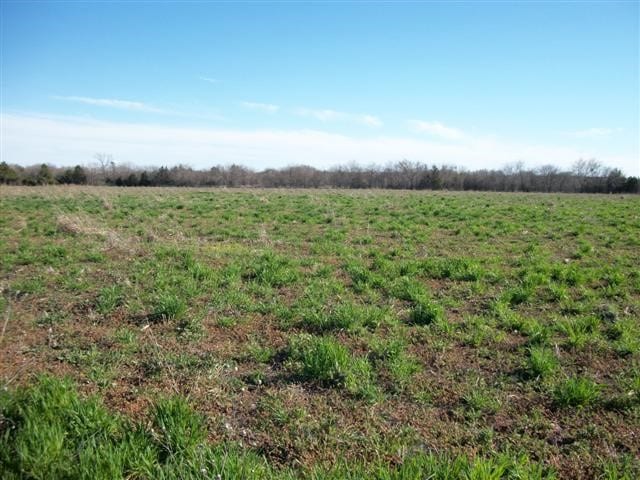 0000 None, Royse City TX, 75189 land for sale