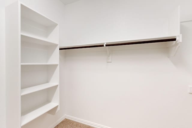 walk in closet with carpet flooring