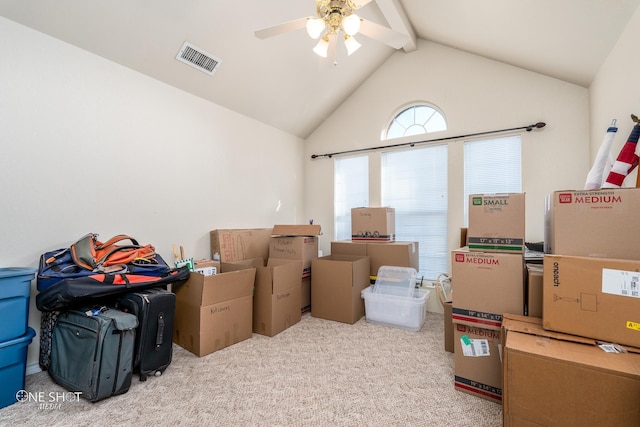 storage featuring ceiling fan