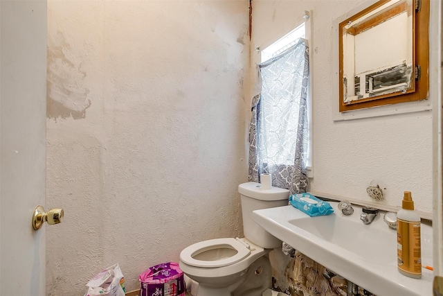 bathroom with sink and toilet