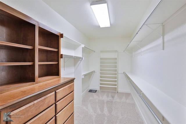 spacious closet featuring light carpet