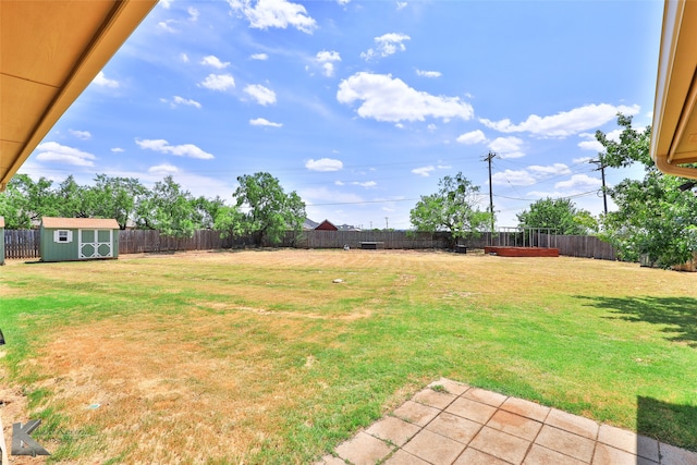 view of yard with a storage unit