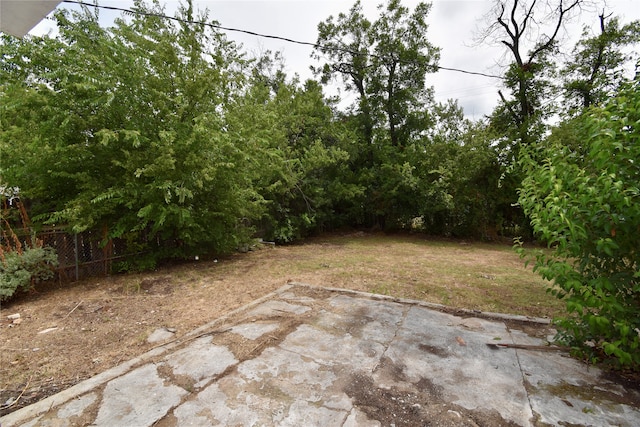 view of yard featuring a patio area