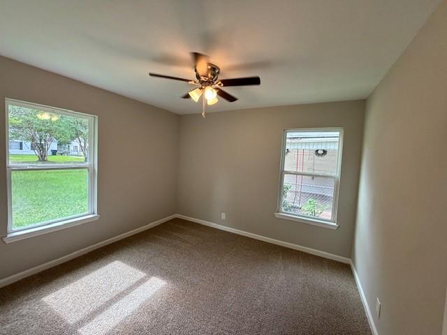 unfurnished room with a ceiling fan, carpet, a wealth of natural light, and baseboards