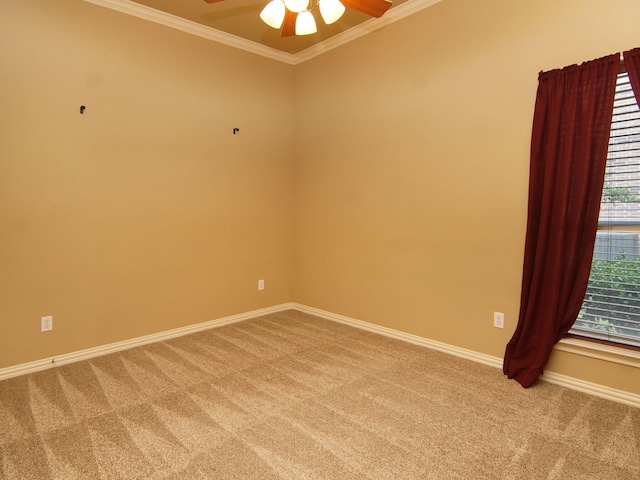 spare room featuring ceiling fan, ornamental molding, and carpet floors