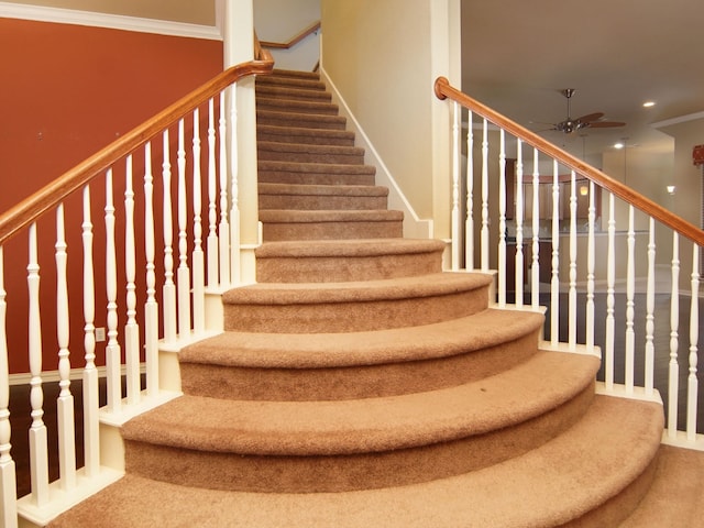 stairs with ceiling fan, crown molding, and carpet flooring