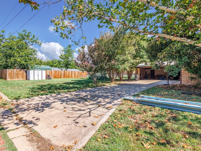 view of yard with a carport and a storage unit