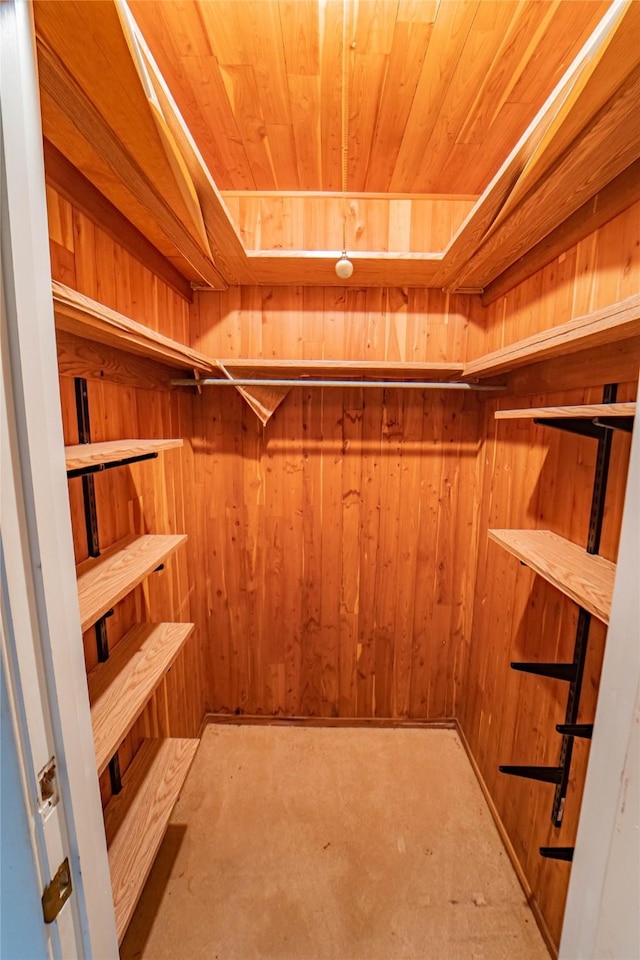 view of spacious closet