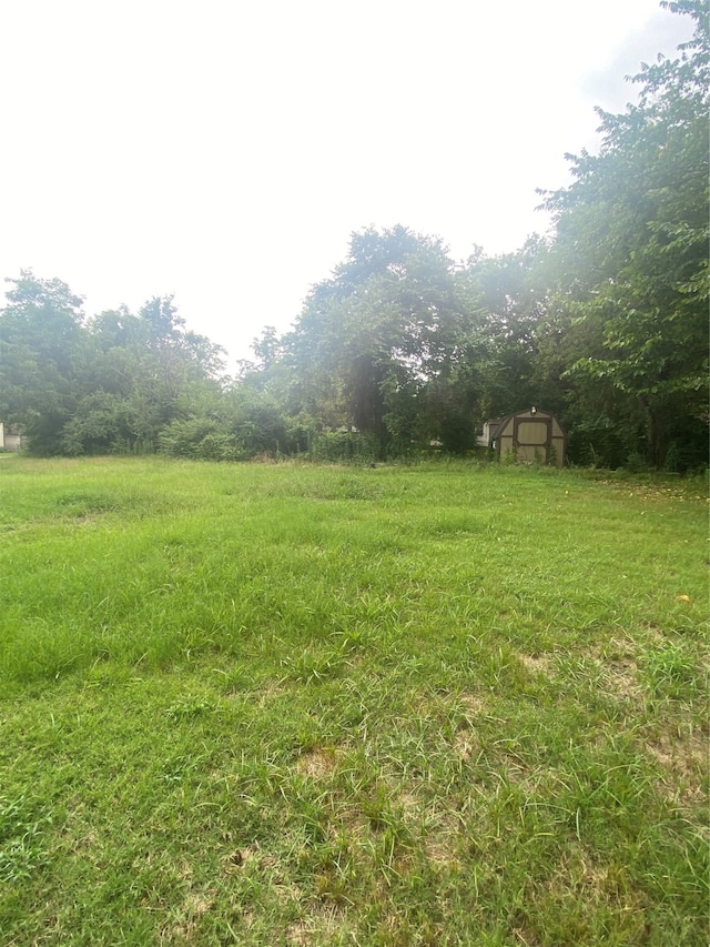 view of yard featuring a shed