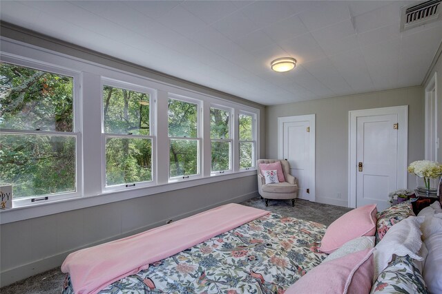 bedroom featuring carpet