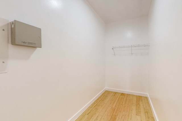 walk in closet with light wood-type flooring