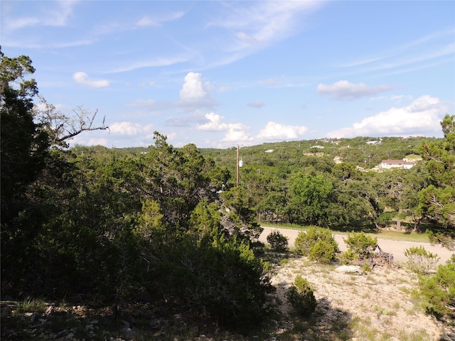 1490 Desiree St, Canyon Lake TX, 78133 land for sale