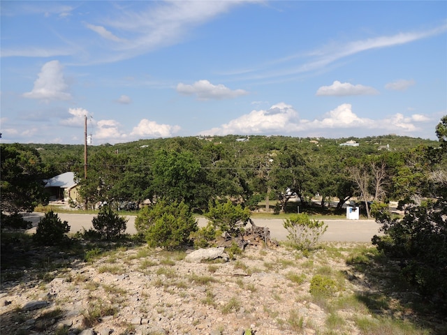 Listing photo 2 for 1490 Desiree St, Canyon Lake TX 78133