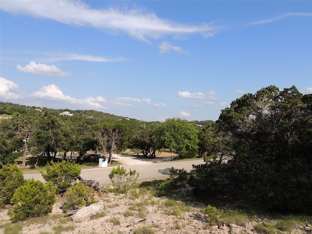 Listing photo 3 for 1490 Desiree St, Canyon Lake TX 78133