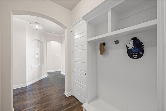 mudroom with ornamental molding and dark wood-type flooring