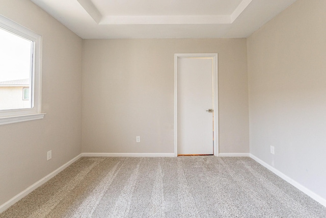 unfurnished room featuring carpet and a raised ceiling