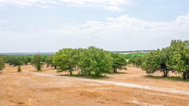 Listing photo 3 for TBD Bellenger Ln, Weatherford TX 76088