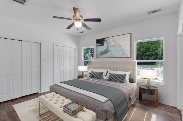 bedroom featuring ceiling fan, dark hardwood / wood-style floors, multiple windows, and two closets