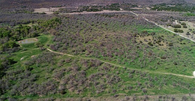 aerial overview of property's location