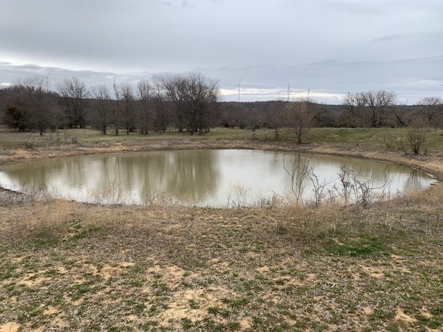 view of water feature