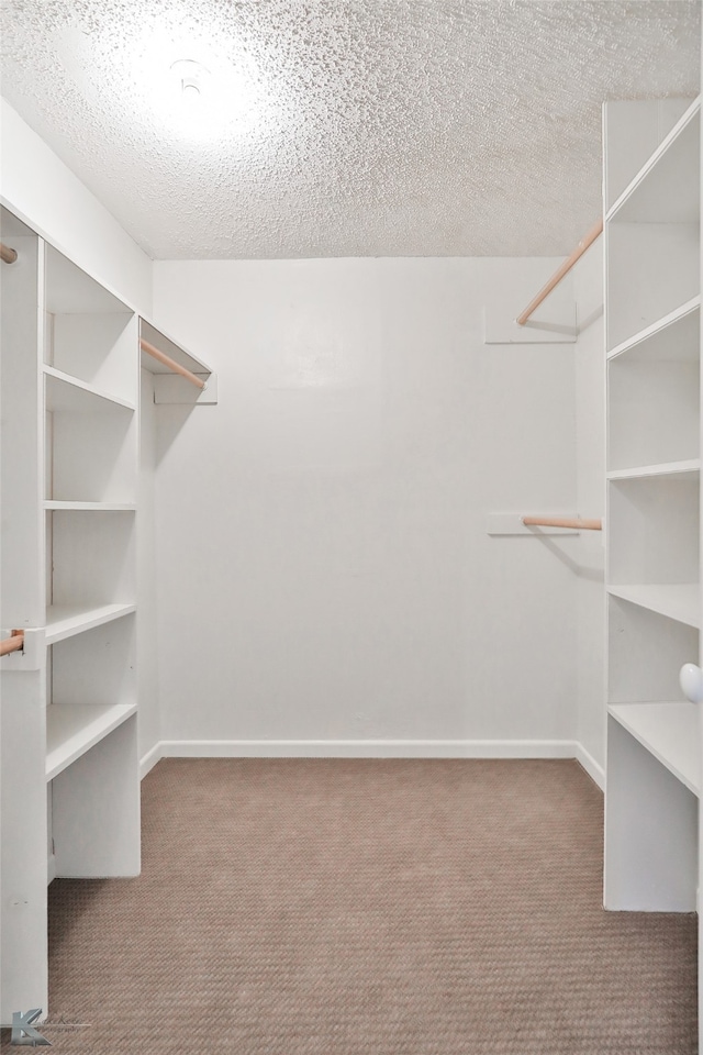 walk in closet with carpet flooring