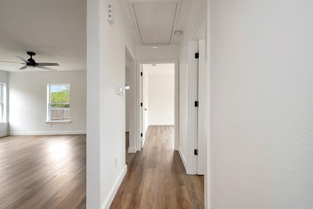 corridor with wood-type flooring