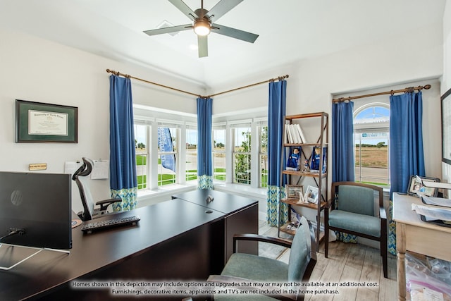 office area with hardwood / wood-style floors, a wealth of natural light, and ceiling fan