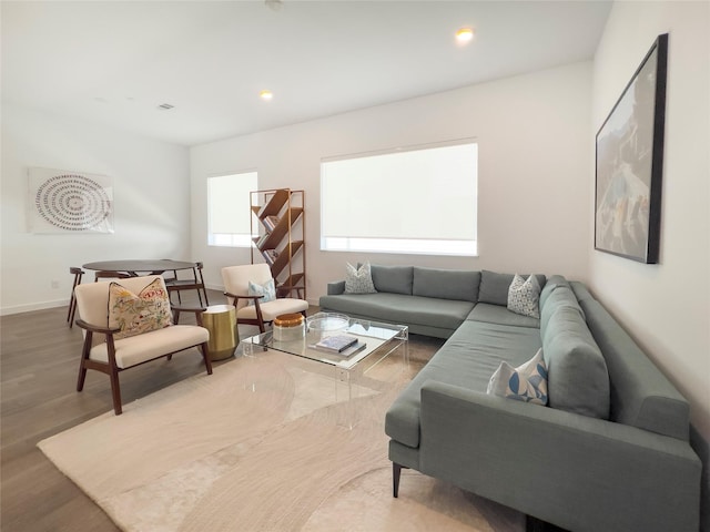 living room with dark hardwood / wood-style floors