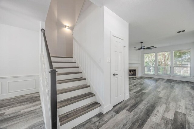 stairs featuring ceiling fan and wood-type flooring