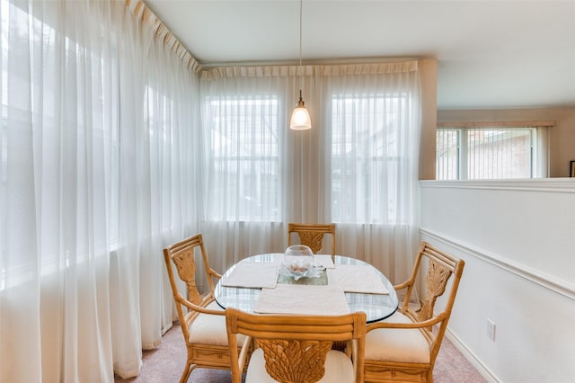 dining room featuring carpet