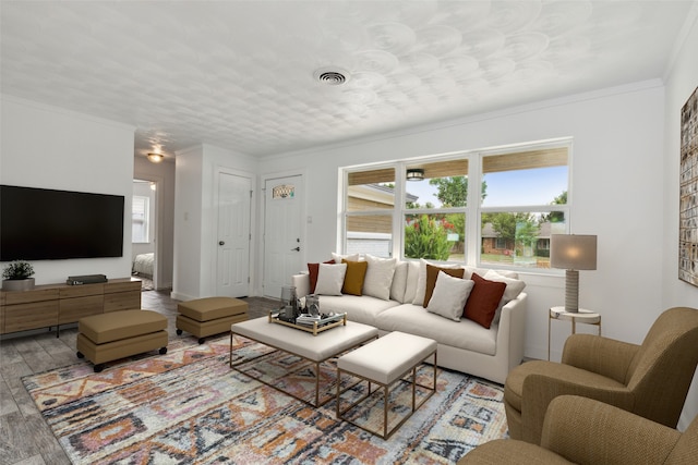 living room featuring ornamental molding and light wood-type flooring