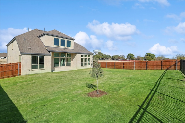 back of house featuring a yard