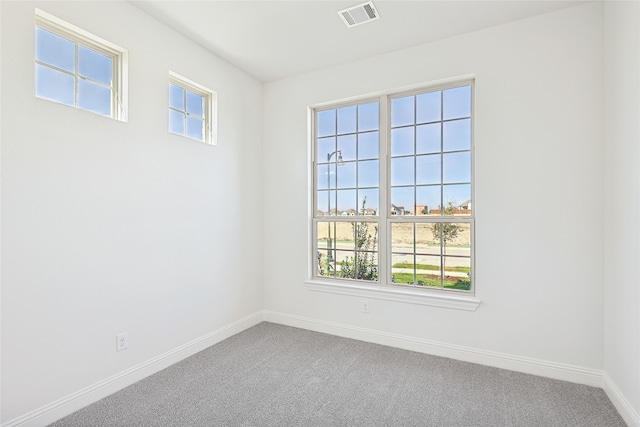 carpeted empty room with a wealth of natural light