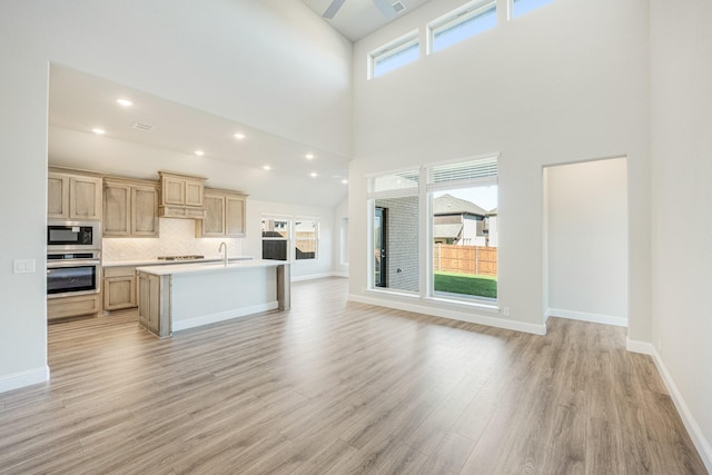 kitchen with light brown cabinets, stainless steel appliances, light hardwood / wood-style floors, and a wealth of natural light