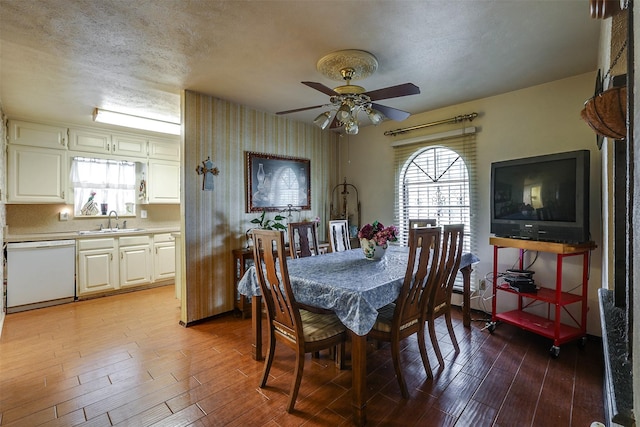 dining space featuring sink, light hardwood / wood-style flooring, a textured ceiling, and ceiling fan