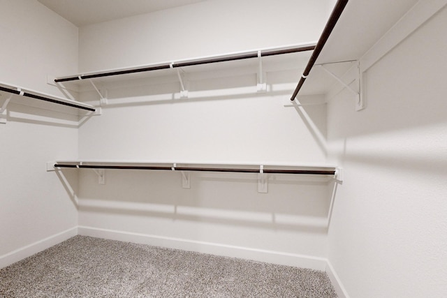 walk in closet with carpet floors