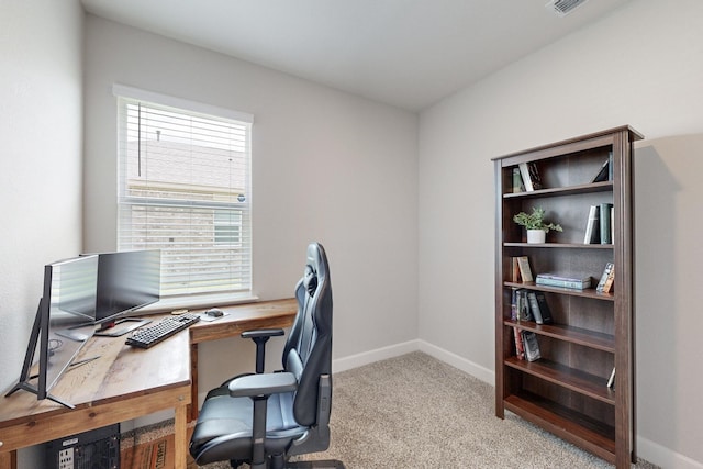 carpeted office with a healthy amount of sunlight