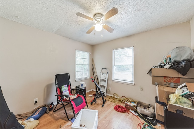 exercise area featuring ceiling fan, light hardwood / wood-style flooring, and plenty of natural light