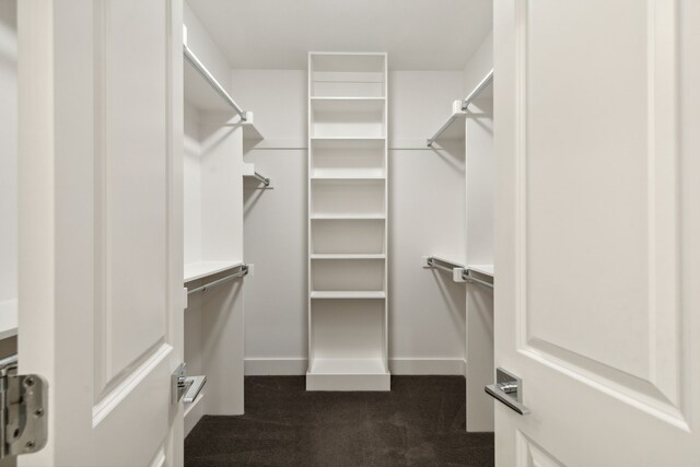 spacious closet with dark colored carpet