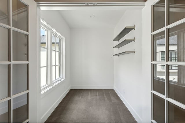 spare room with dark carpet and plenty of natural light