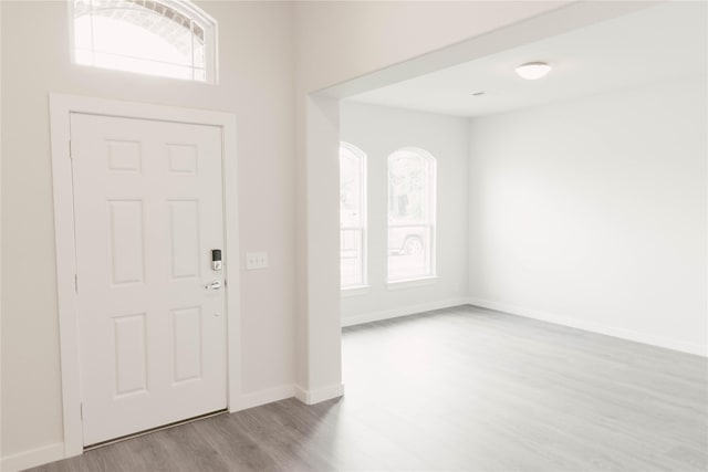 entrance foyer featuring light wood-type flooring and plenty of natural light